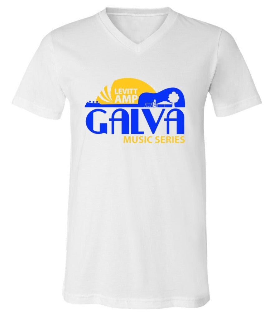 Levitt Amp on White - Several Styles to Choose From!