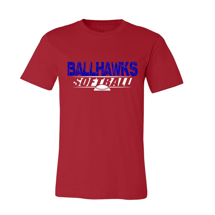 Ballhawks Tee and V-Neck