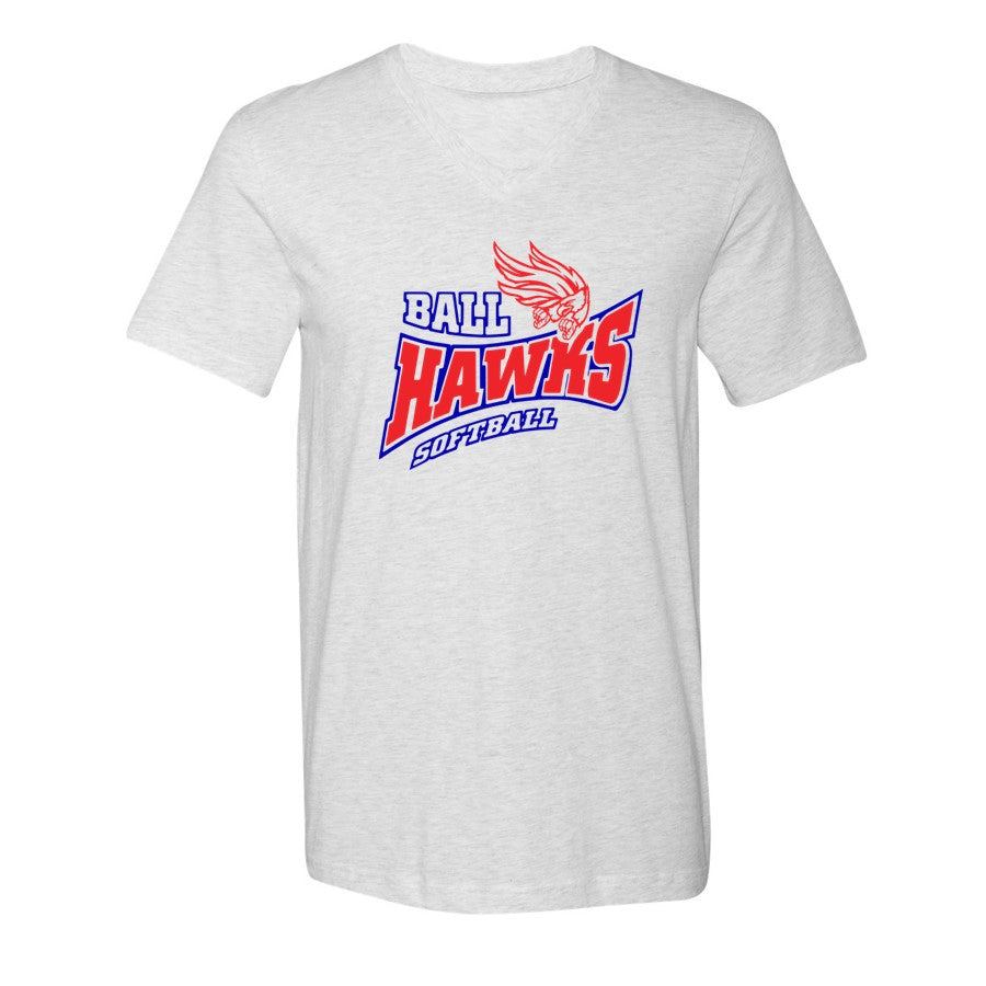Ballhawks Tee and V-Neck