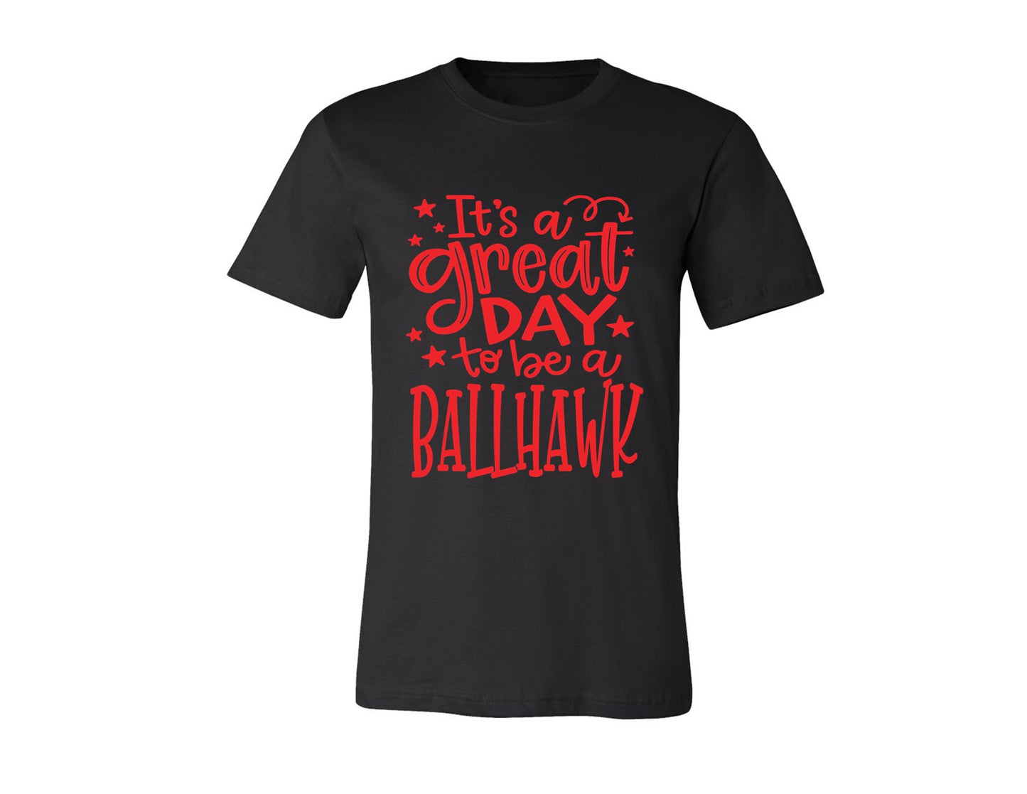 Ballhawks - Great Day to Be a Ballhawk - Tee and V-Neck