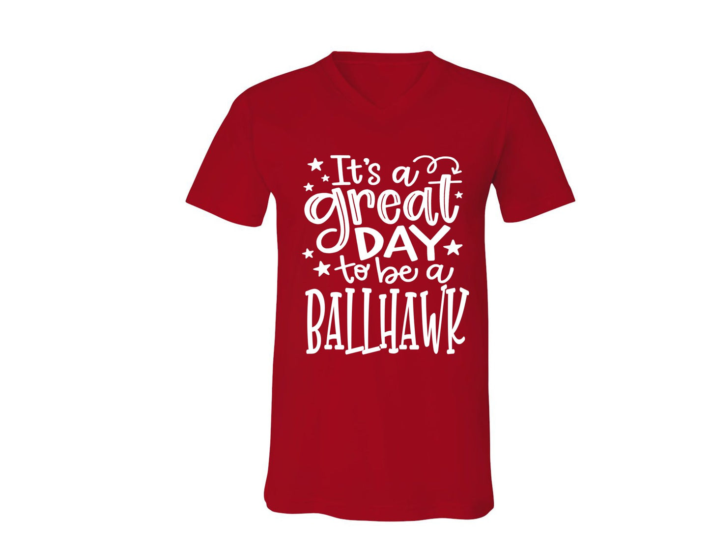 Ballhawks - Great Day to Be a Ballhawk - Tee and V-Neck
