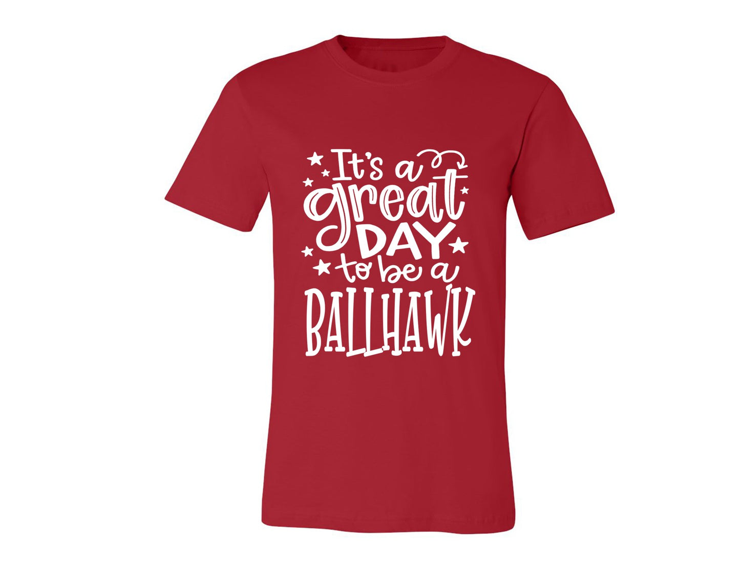 Ballhawks - Great Day to Be a Ballhawk - Tee and V-Neck