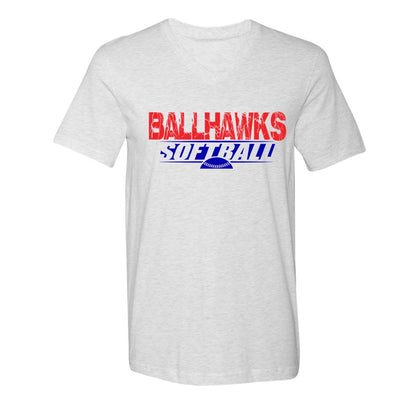 Ballhawks Tee and V-Neck