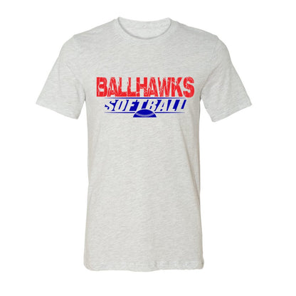 Ballhawks Tee and V-Neck