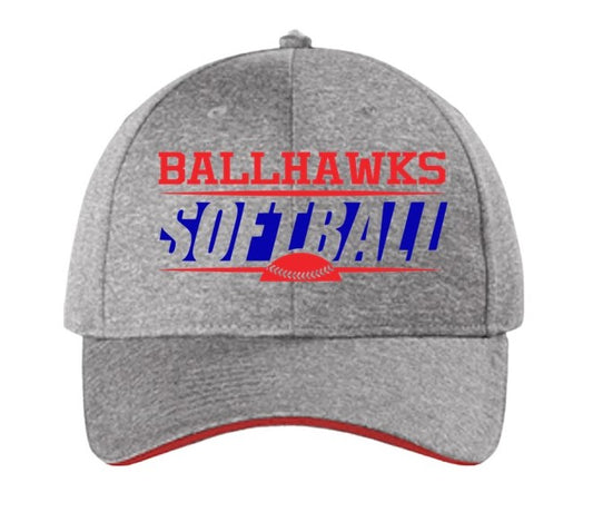 Ballhawks Hat