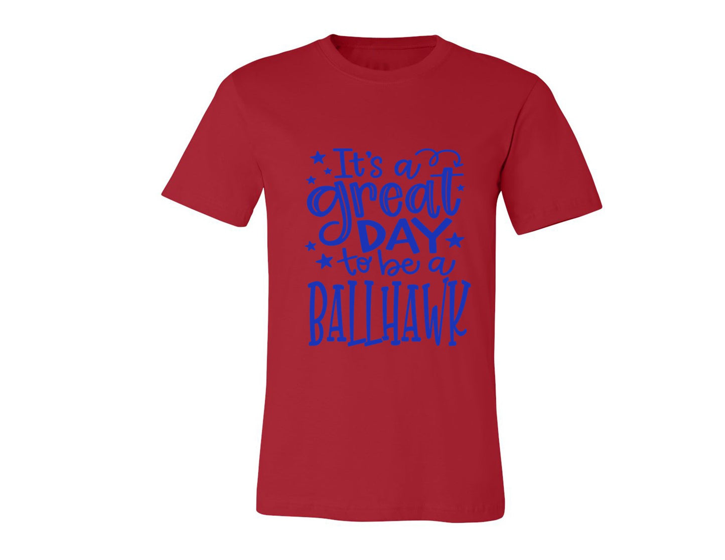 Ballhawks - Great Day to Be a Ballhawk - Tee and V-Neck